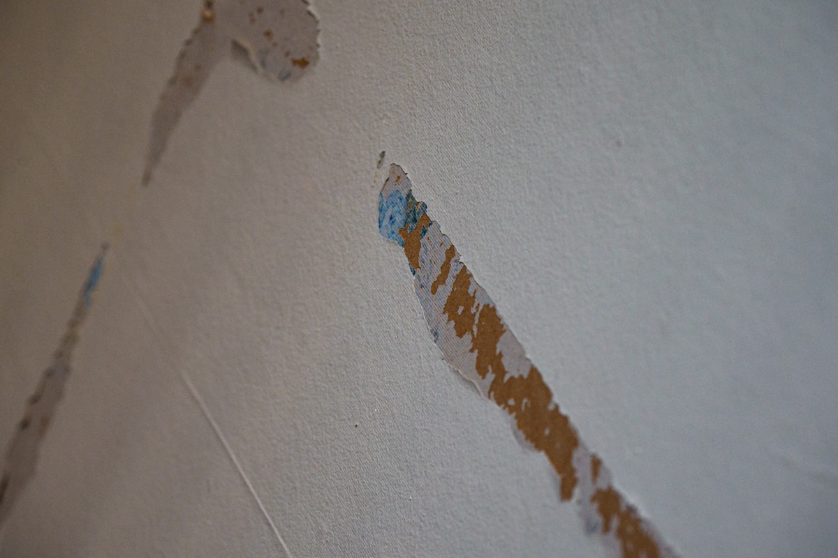 Mold Remediation service in Redding, CA